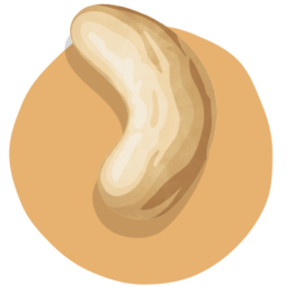 cashewkerne-icon