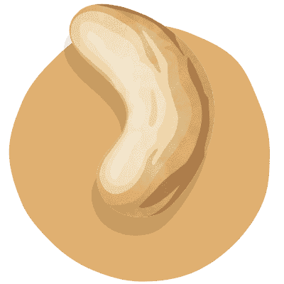 cashewkerne-icon